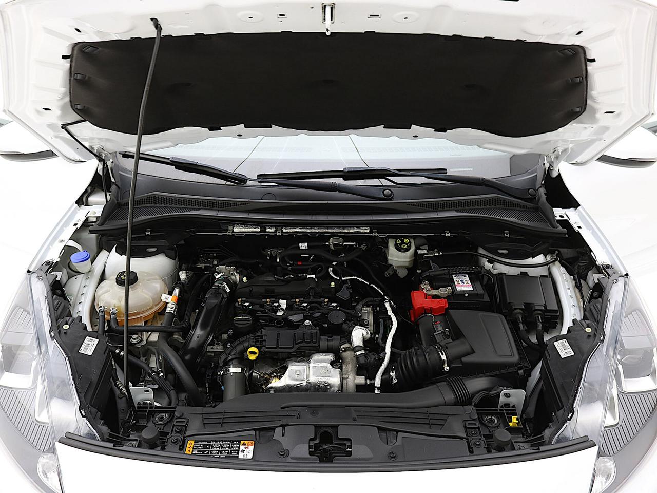 Ford Kuga 1.5 EcoBlue 120 CV 2WD ST-Line