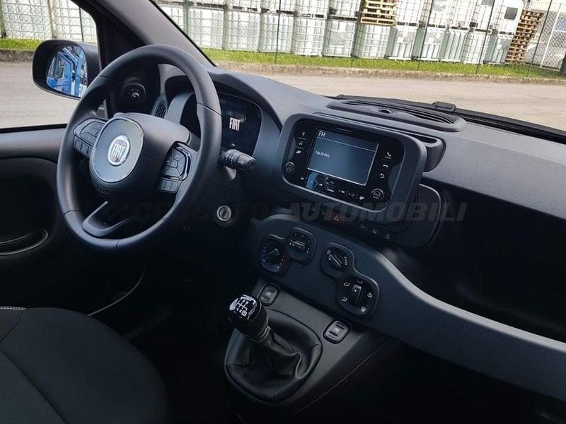 FIAT Panda Panda 1.0 70cv Hybrid Icon