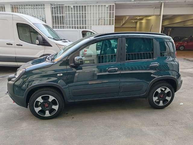 Fiat Panda Cross 1.0 Hybrid 70cv 36 rate Rate da 177,95 Euro