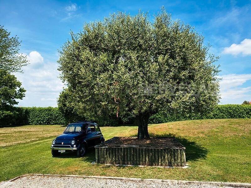 Fiat 500 L Lusso – Conservata Originale 1972