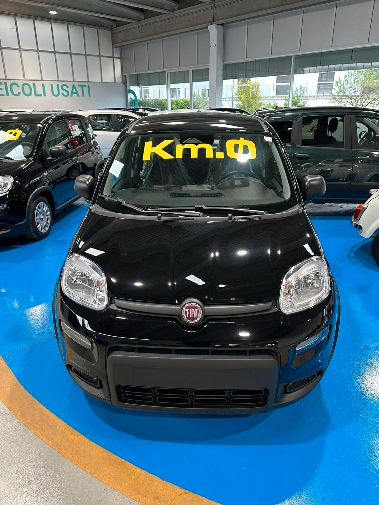 FIAT panda NUOVA PANDINA KM 0 2024