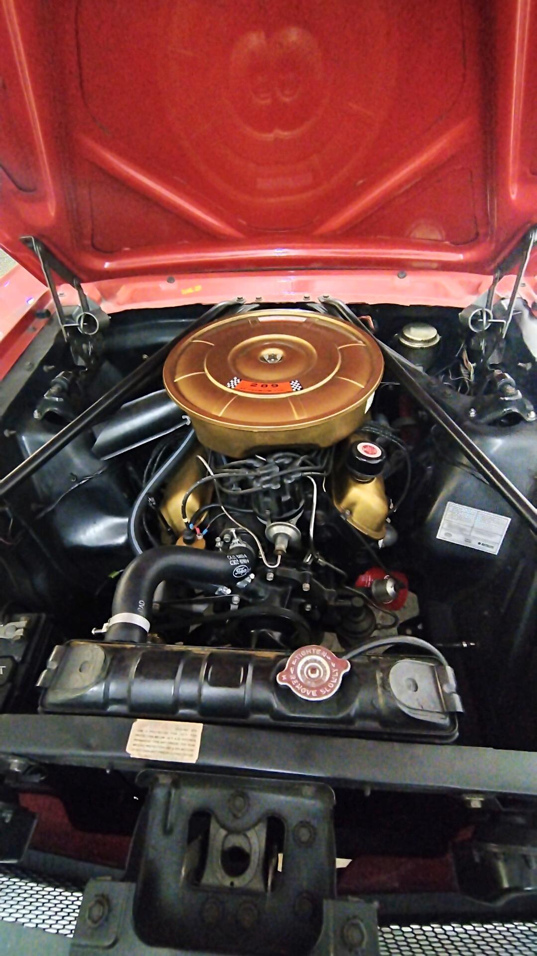 Ford Mustang GT 289
