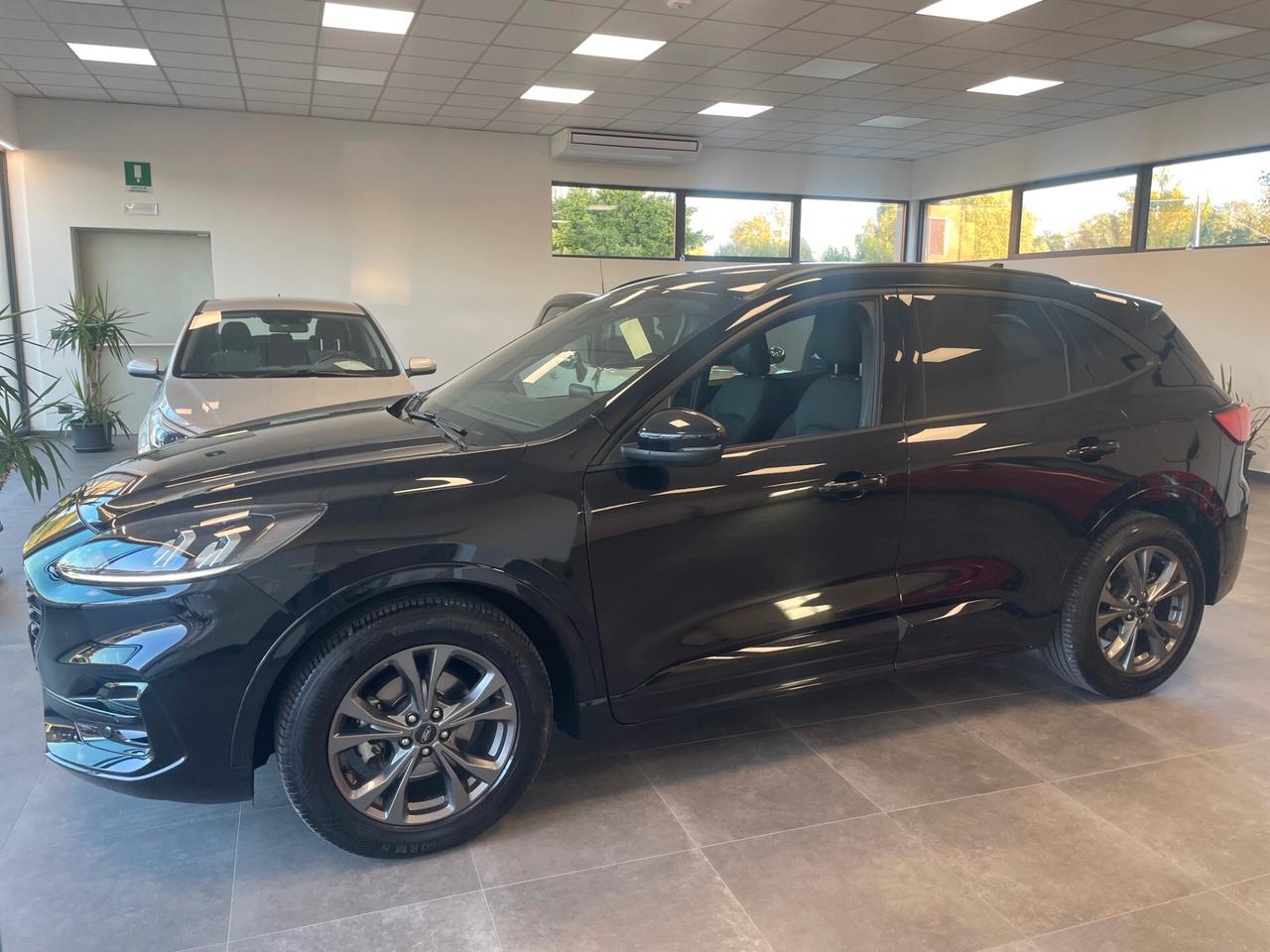 Ford Kuga 1.5 EcoBlue 120 CV aut. 2WD ST-Line