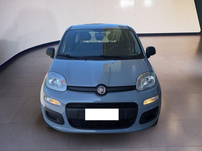 FIAT Panda Panda 1.2 Lounge s&s 69cv my19 BENZINA/METANO