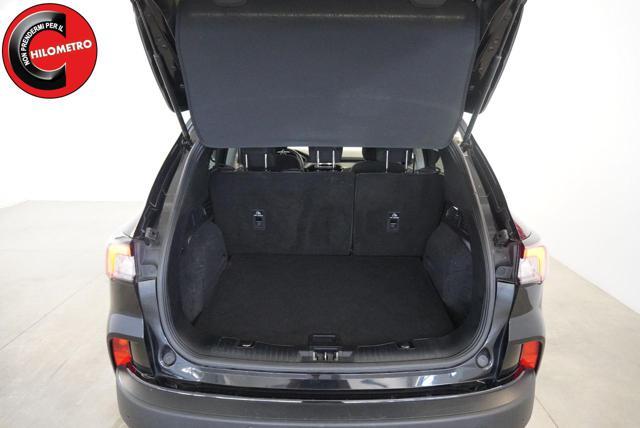 FORD Kuga 1.5 EcoBlue 120 CV 2WD Titanium Business