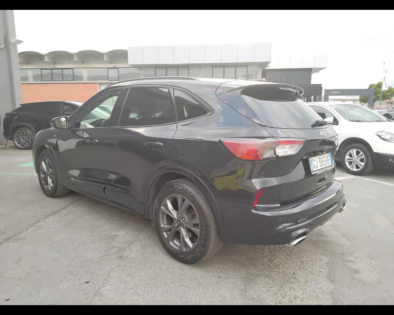 FORD Kuga III 2020 - Kuga 2.0 ecoblue ST-Line Design awd 120cv au