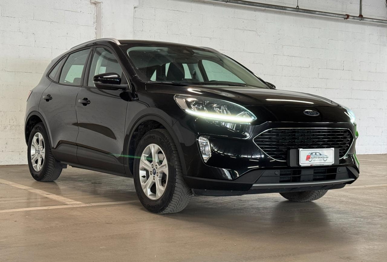 Ford Kuga 1.5 EcoBlue 120 CV 2WD Titanium