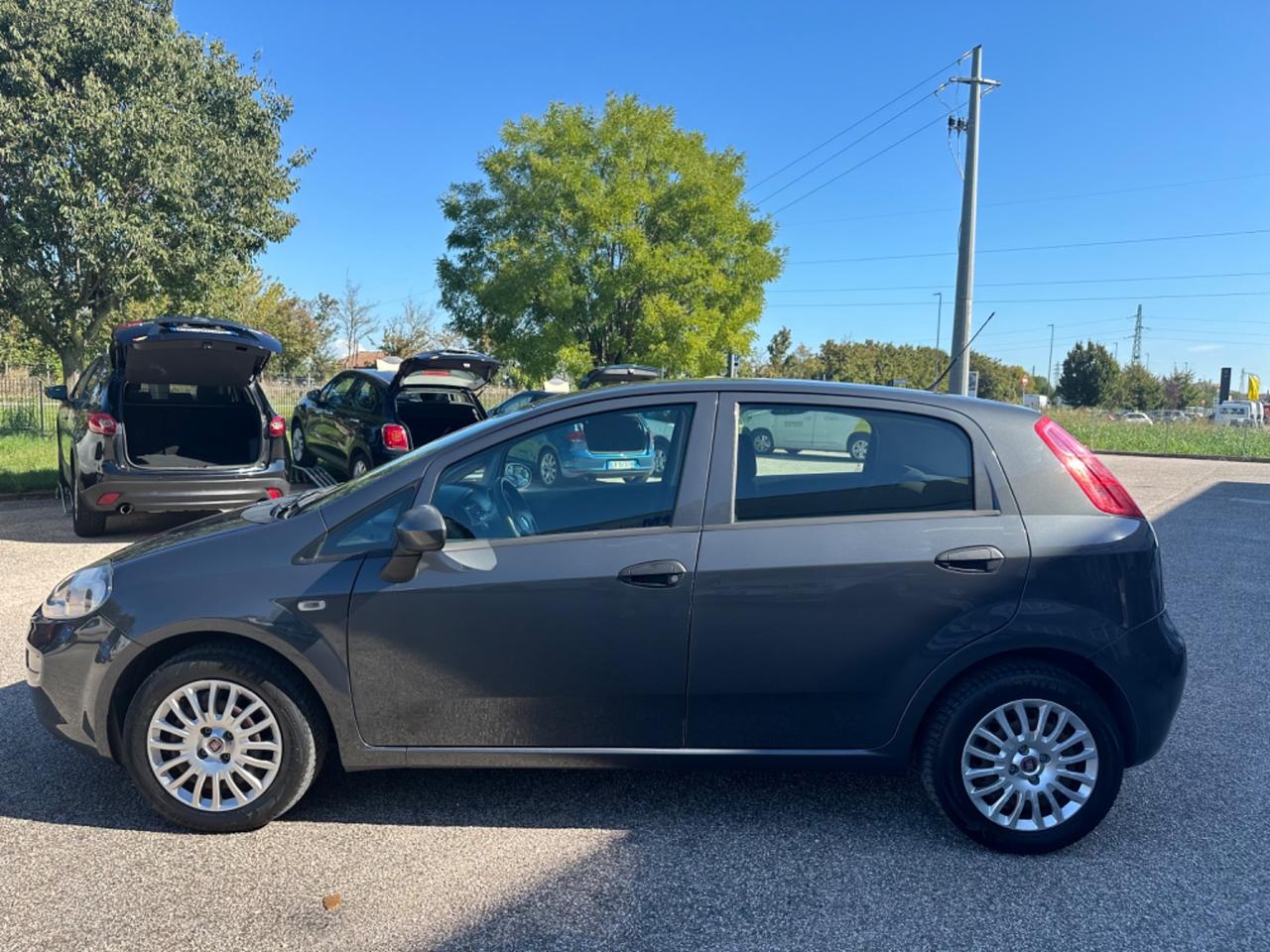 Fiat Punto 1.2 8V 5 porte Street NEOPATENTATI