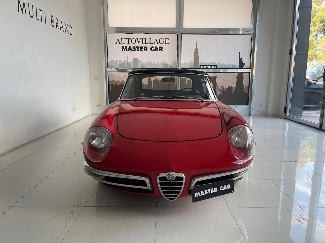 Alfa Romeo Spider duetto osso di seppia