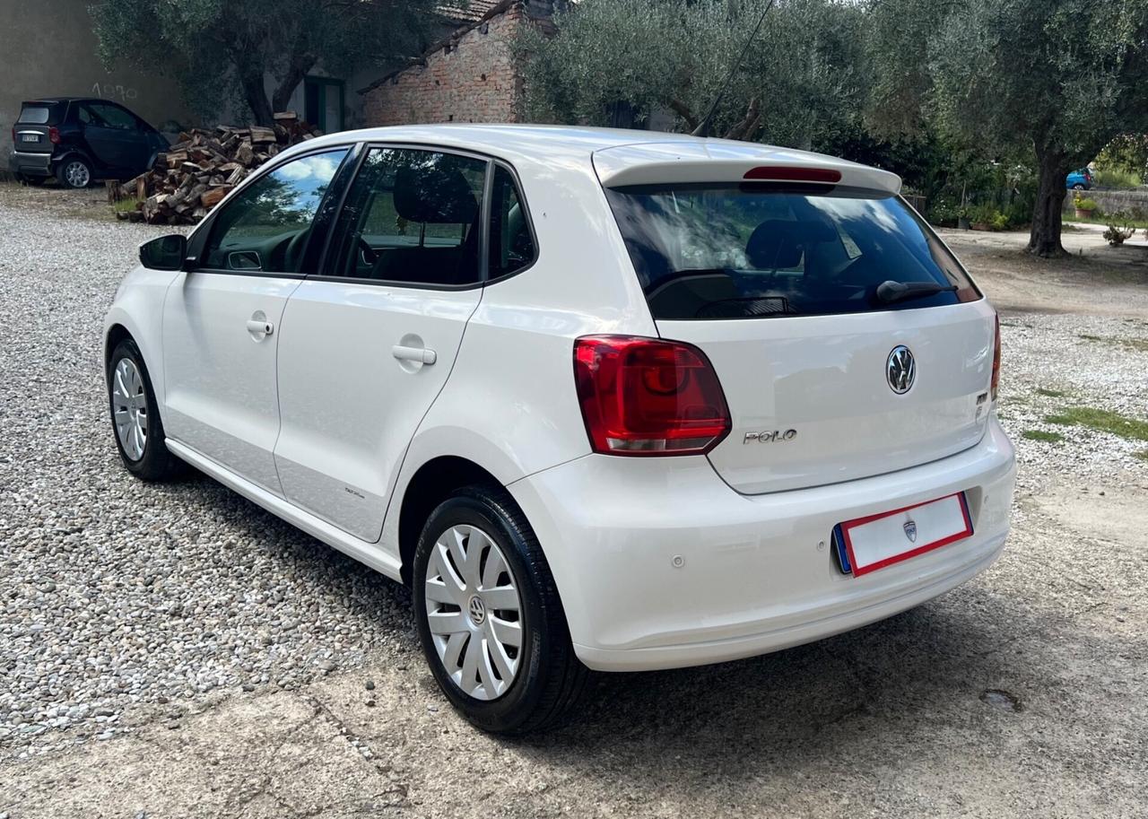 Volkswagen Polo 1.2 TDI 75 CV GARANZIA 12