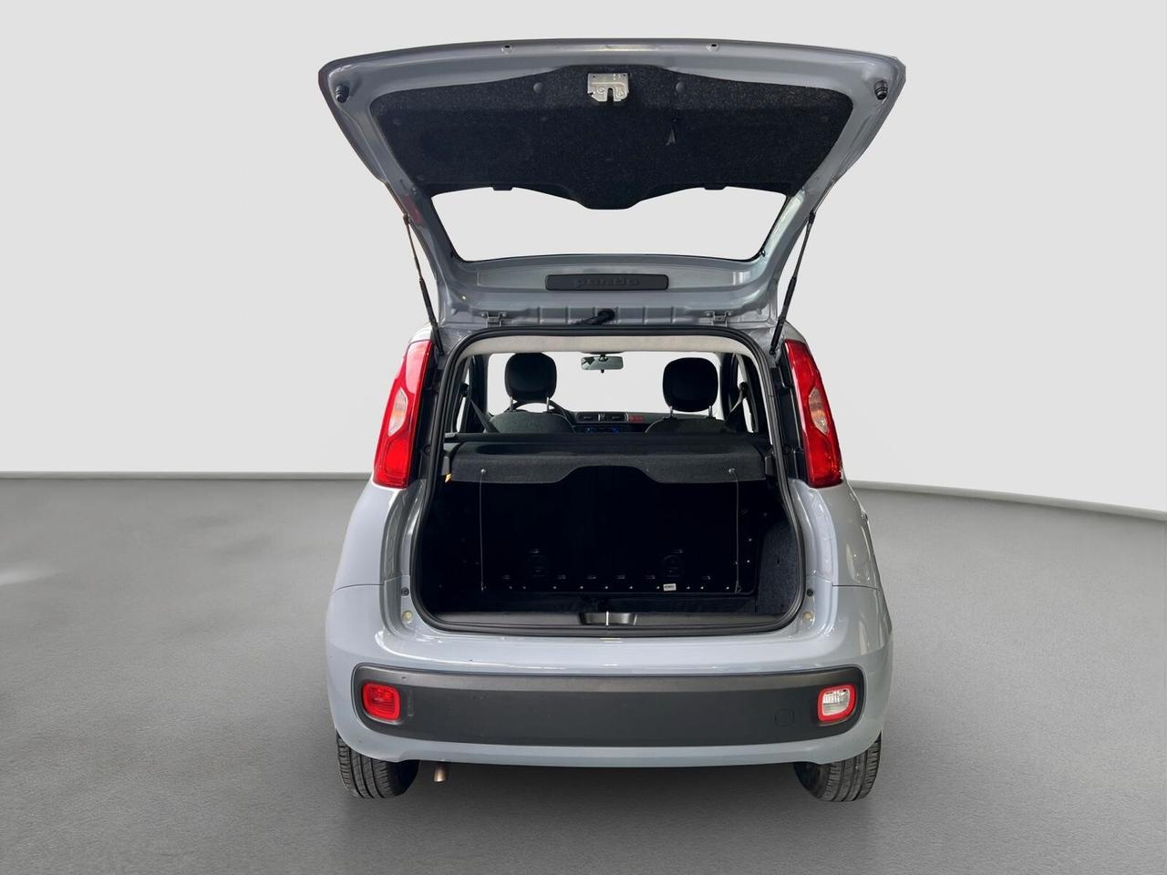 Panda 1.0 FireFly S&S Hybrid