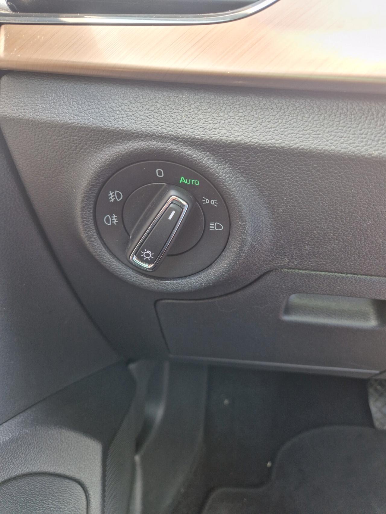 Skoda Kamiq 1.0 TSI 115 CV DSG Style