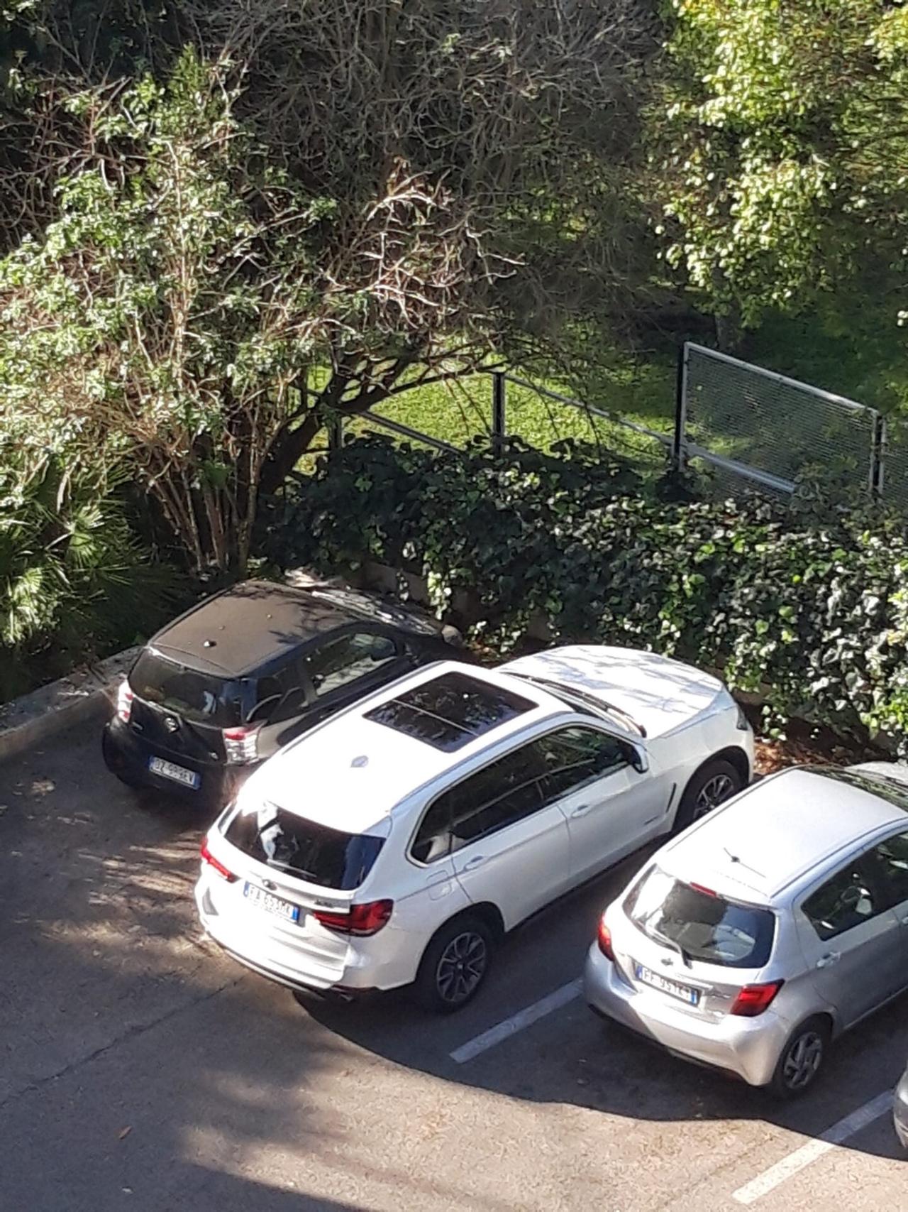 Bmw X5 sDrive25d Luxury Navi Pelle Tetto