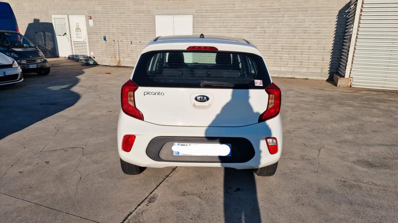 Kia Picanto 1.0 12V 5 porte City