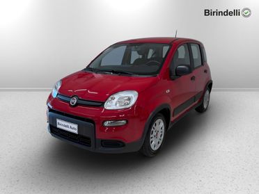 FIAT Panda 3ª serie - Panda 1.0 FireFly S&S Hybrid