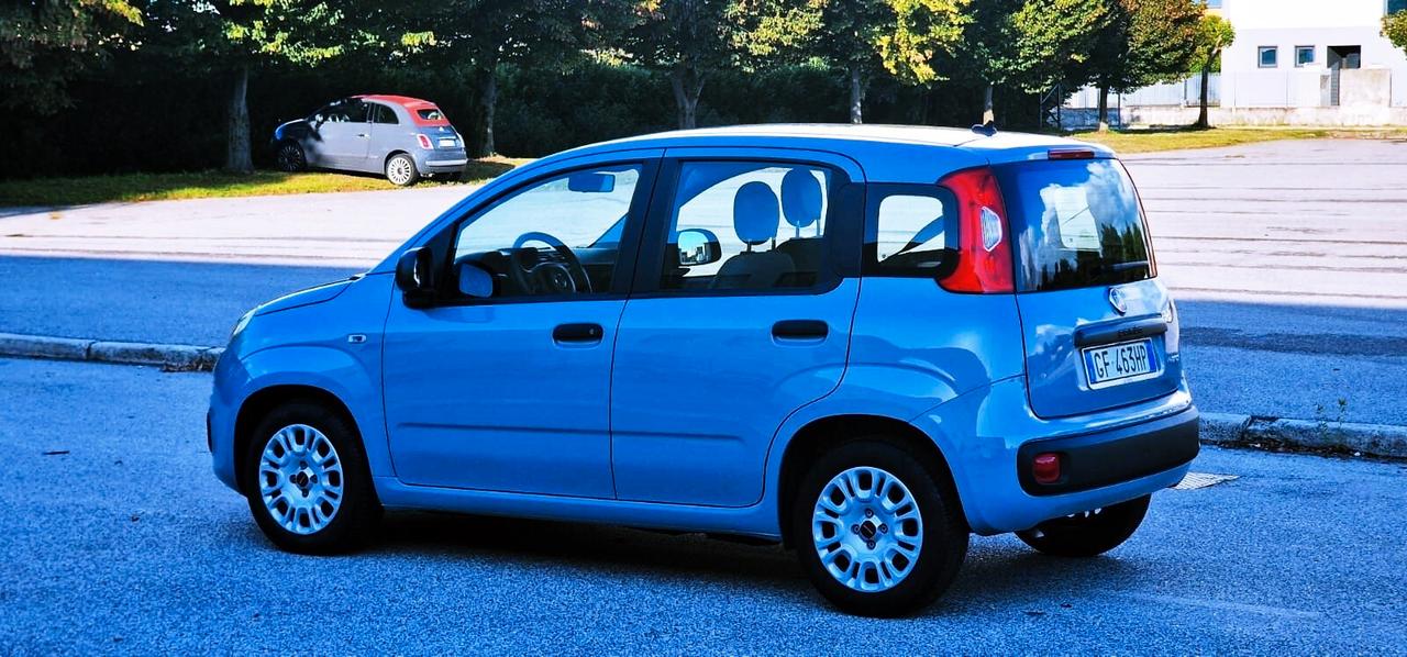 Fiat PANDA 1.0 FireFly 70cv S&S Hybrid