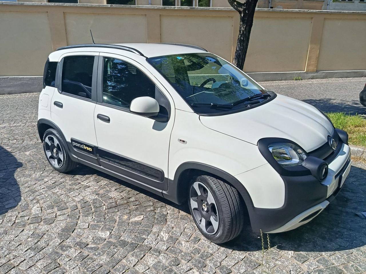 Fiat Panda Pandina Cross 1.0 MHEV #10574