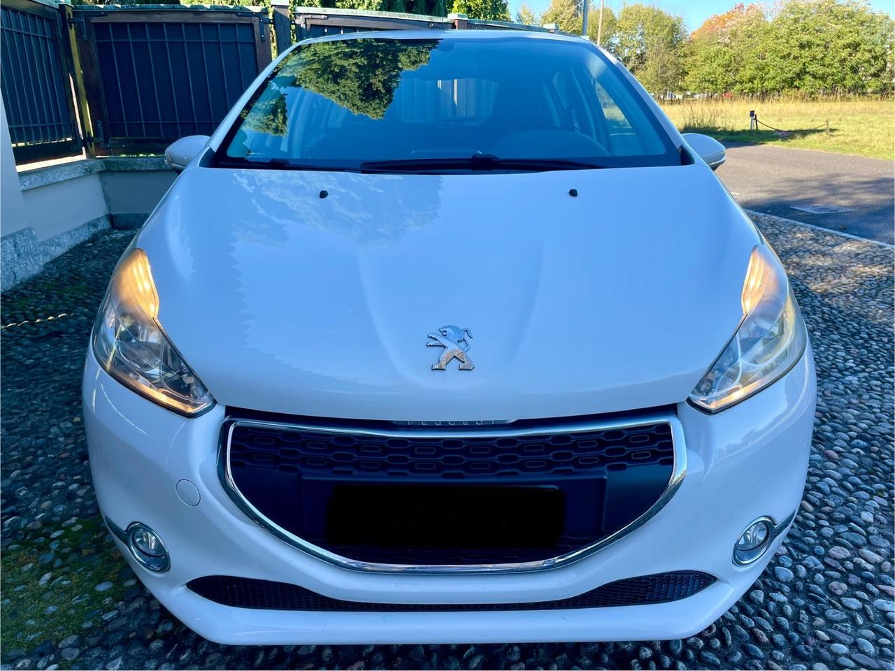 Peugeot 208 1.4 HDi 68 CV 5 porte Van *AUTOCARRO*