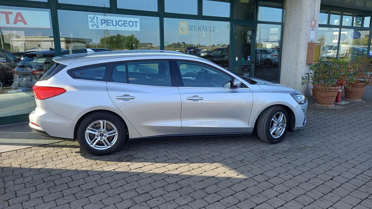 Ford Focus 1.5 EcoBlue 120 CV automatico SW Business Co-Pilot
