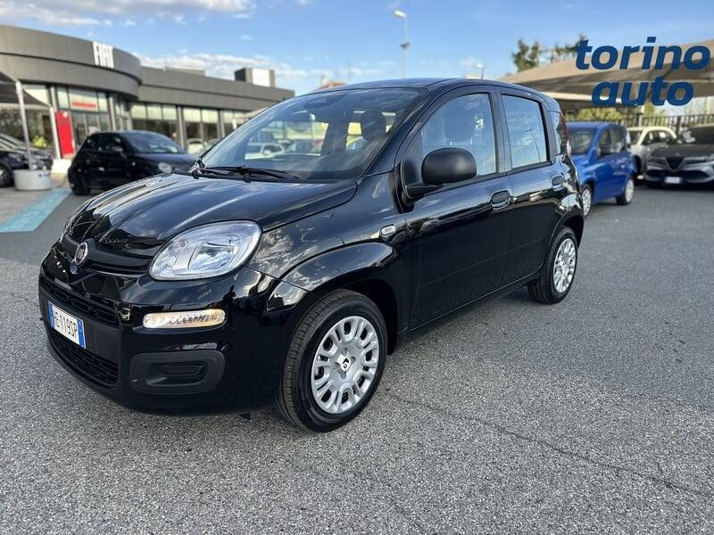 FIAT Pandina Pandina 1.0 firefly hybrid Icon s&s 65cv