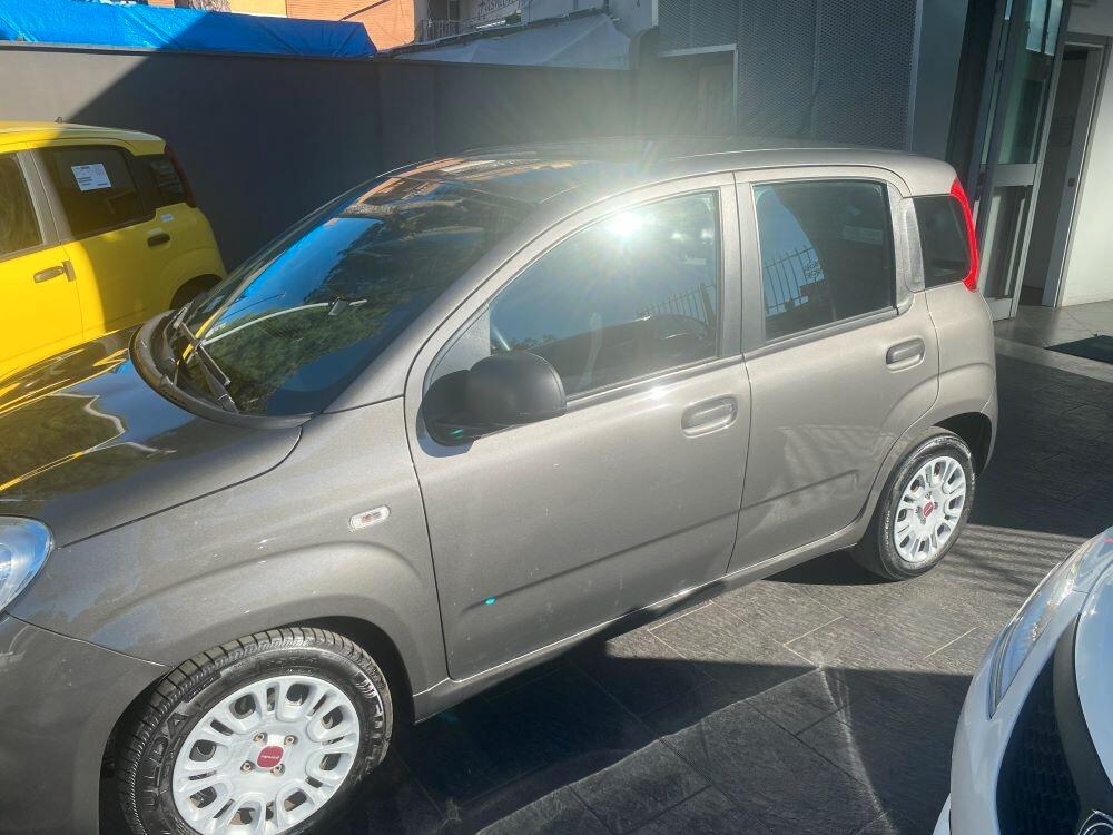 Fiat Panda 1.0 FireFly S&S Hybrid Easy