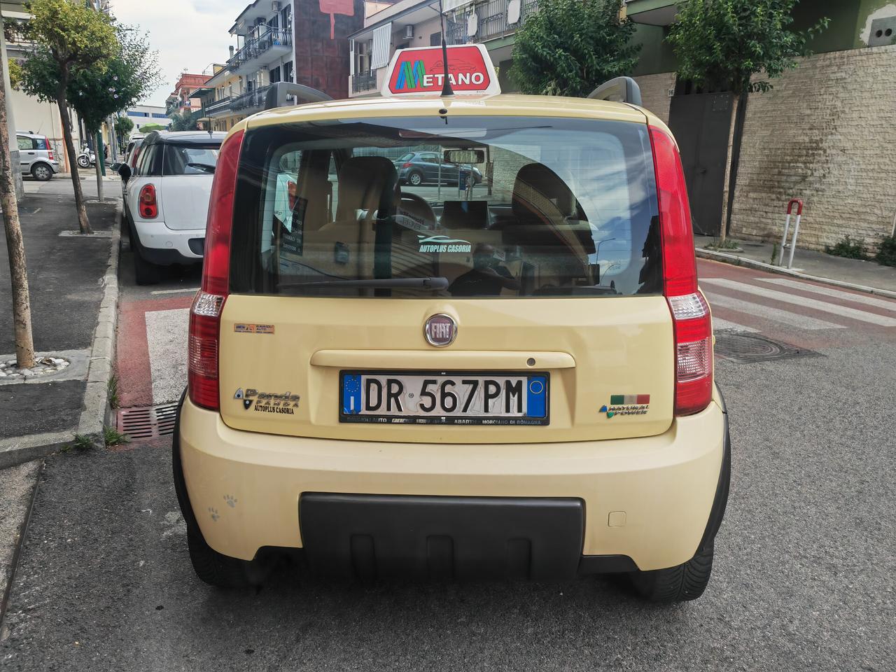 FIAT PANDA 1.2 BENZINA CV60 KW44 CLIMBING