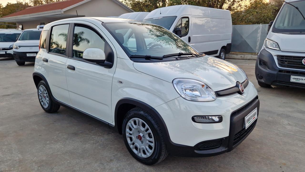 Fiat Panda Cross 1.0 FireFly 70 CV S&S Hybrid