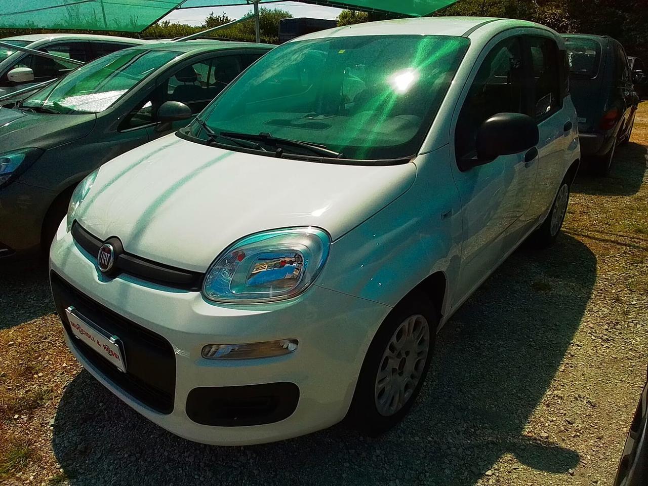 Fiat Panda Easy 1.2 Benz 69cv