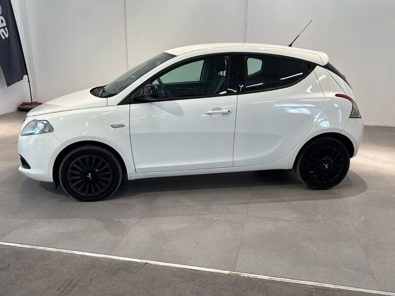 Lancia Ypsilon 1.3 MultiJet 95cv Elefantino