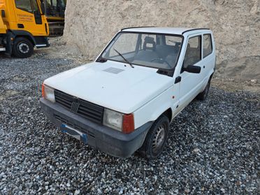 Fiat Panda 900 i.e. cat Young