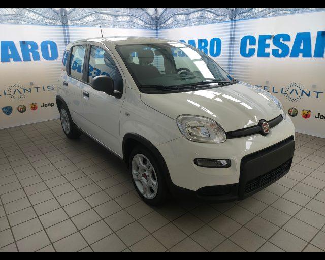 FIAT New Panda 1.0 firefly hybrid 70cv