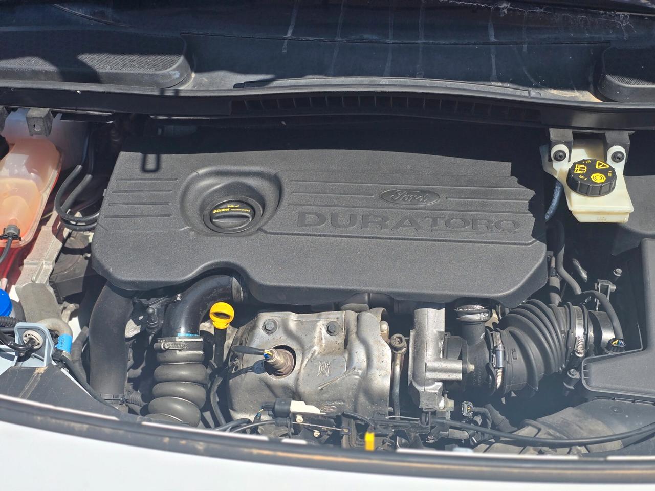 Ford Transit 1.5 TDCi 105CV PL Furgone Entry