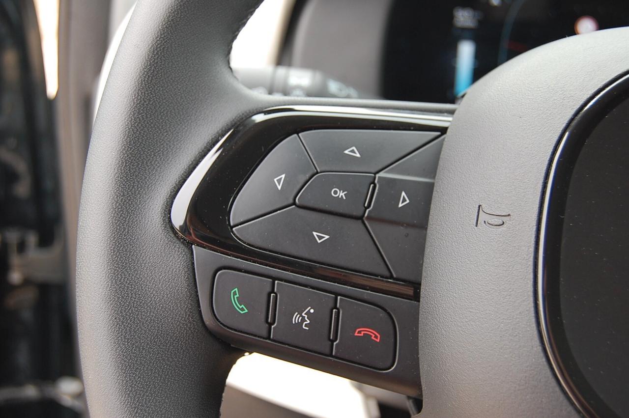 Fiat Panda Cross 1.0 FireFly S&S Hybrid