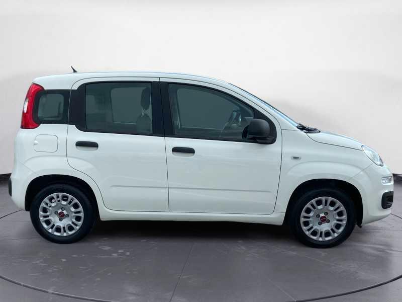 FIAT Panda 1.2 Easy s&s 69cv
