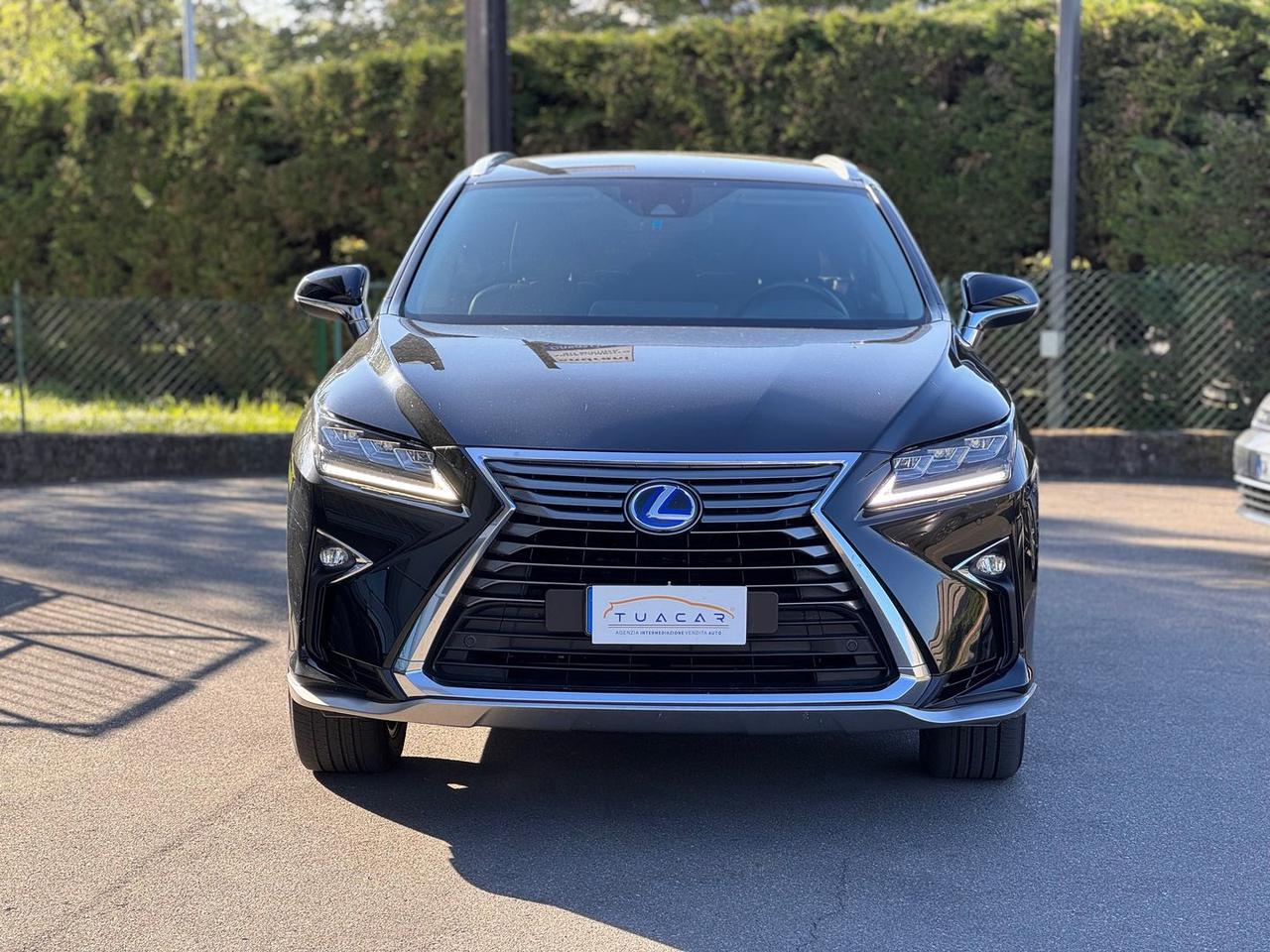 Lexus RX 450h Luxury RX 450h HEV #10586