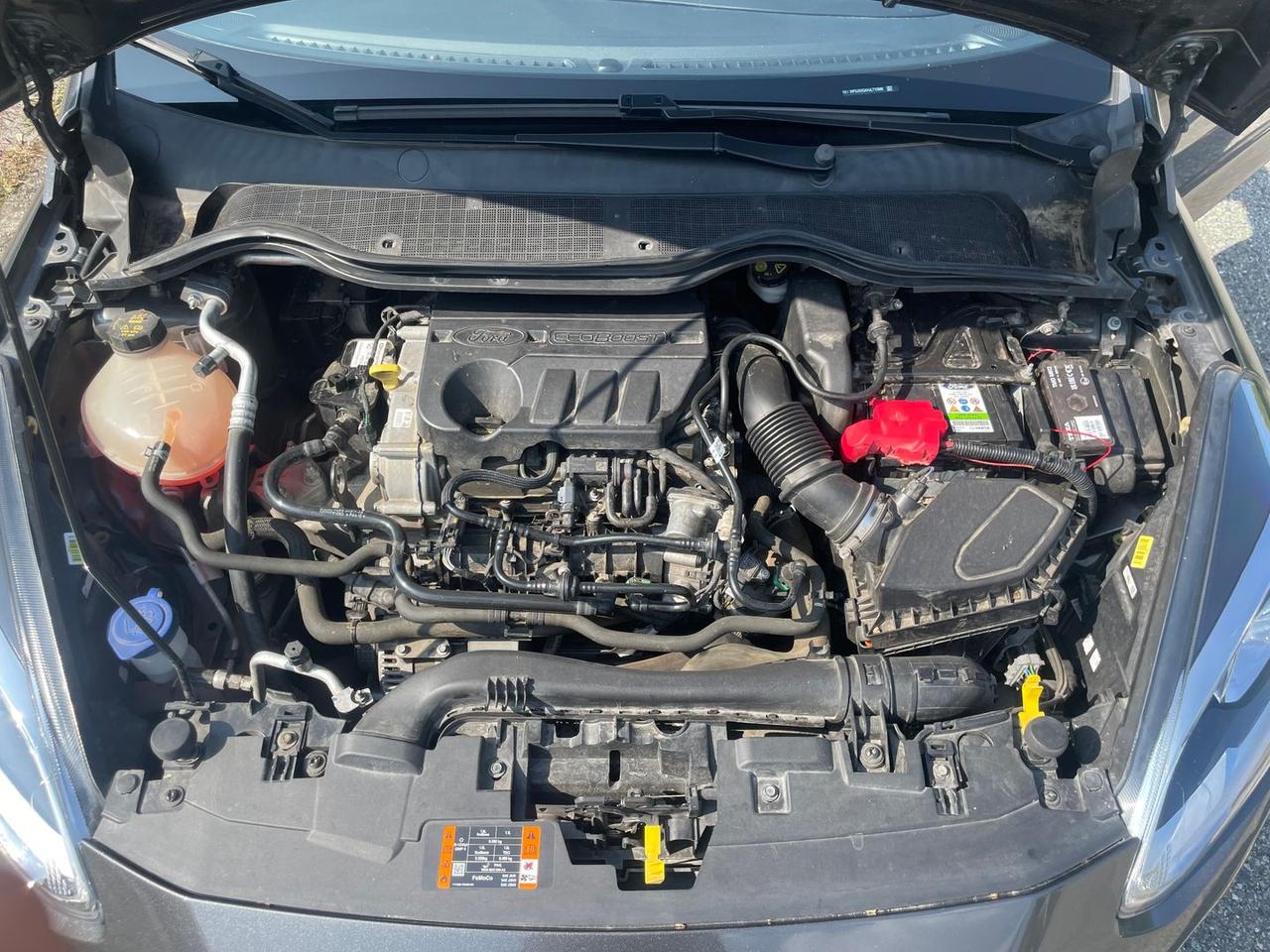 Ford Fiesta ST Line 1.0 EcoBoost mHEV 125cv #50431