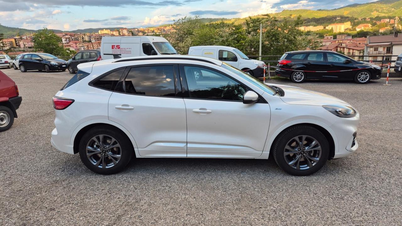 Ford Kuga 1.5 EcoBlue 120CV 2WD ST-Line X - 2021