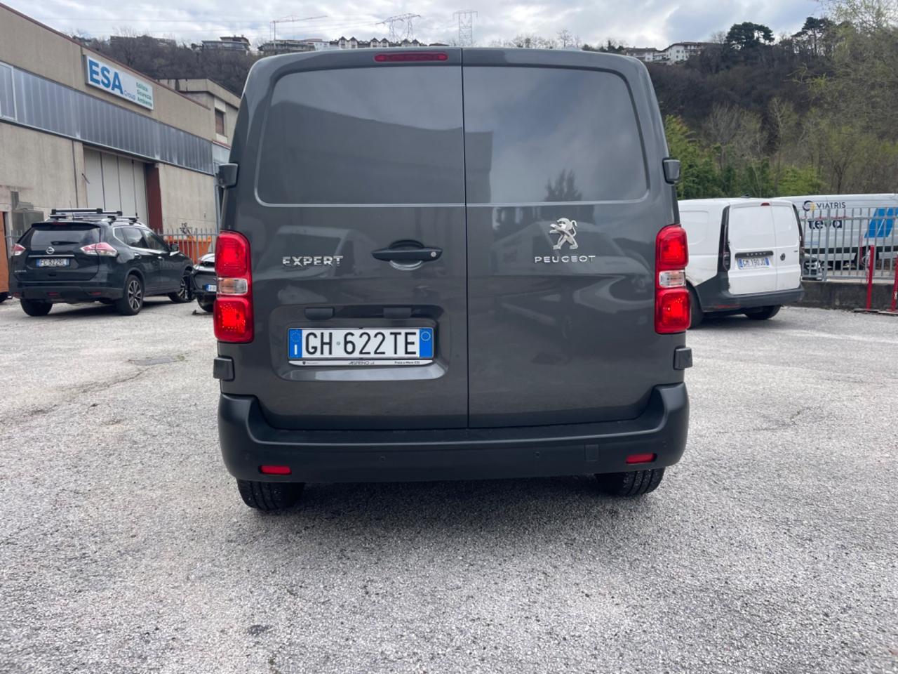 Peugeot EXPERT BLUEHDI 120 SES PL-TN FURGONE PREMIUM STANDARD (88 KW)