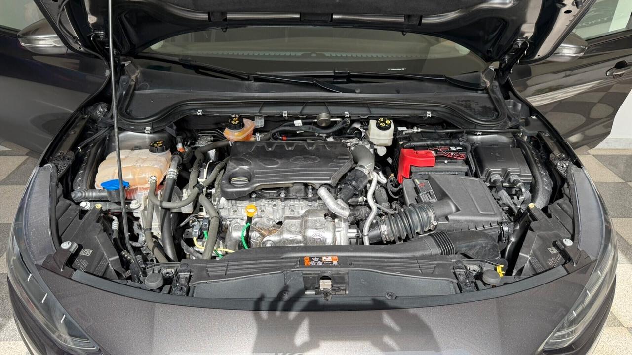 Ford Focus 1.5 EcoBlue 120 CV SW Business