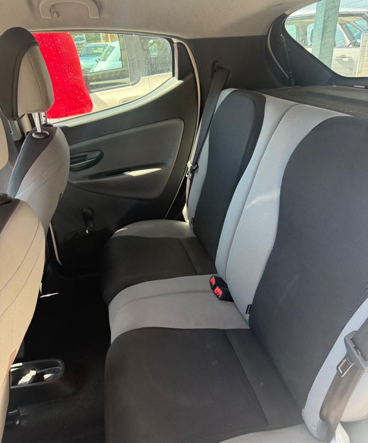Ypsilon ecochic natural power neopatentati UNIPRO