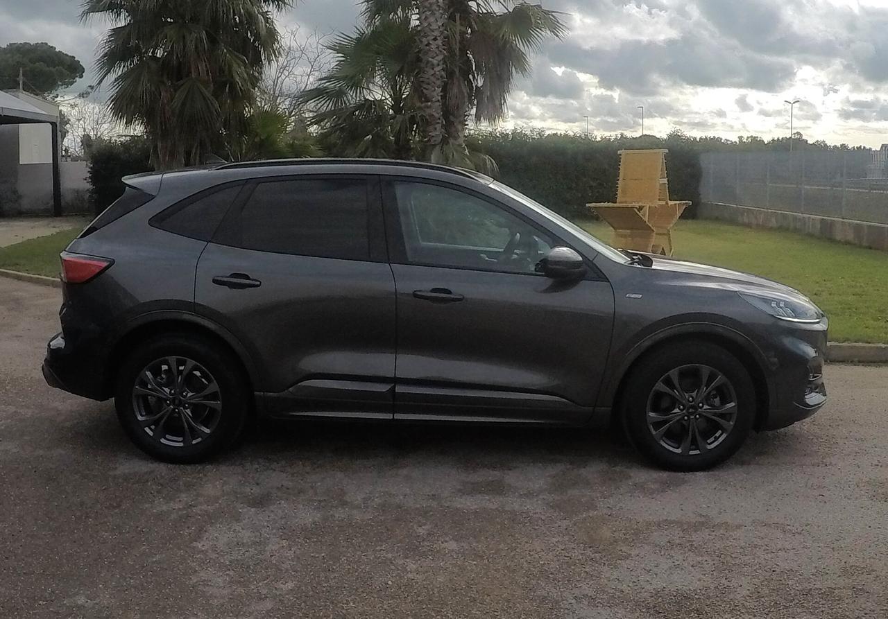Ford Kuga 1.5 EcoBlue 120 CV aut. 2WD ST-Line