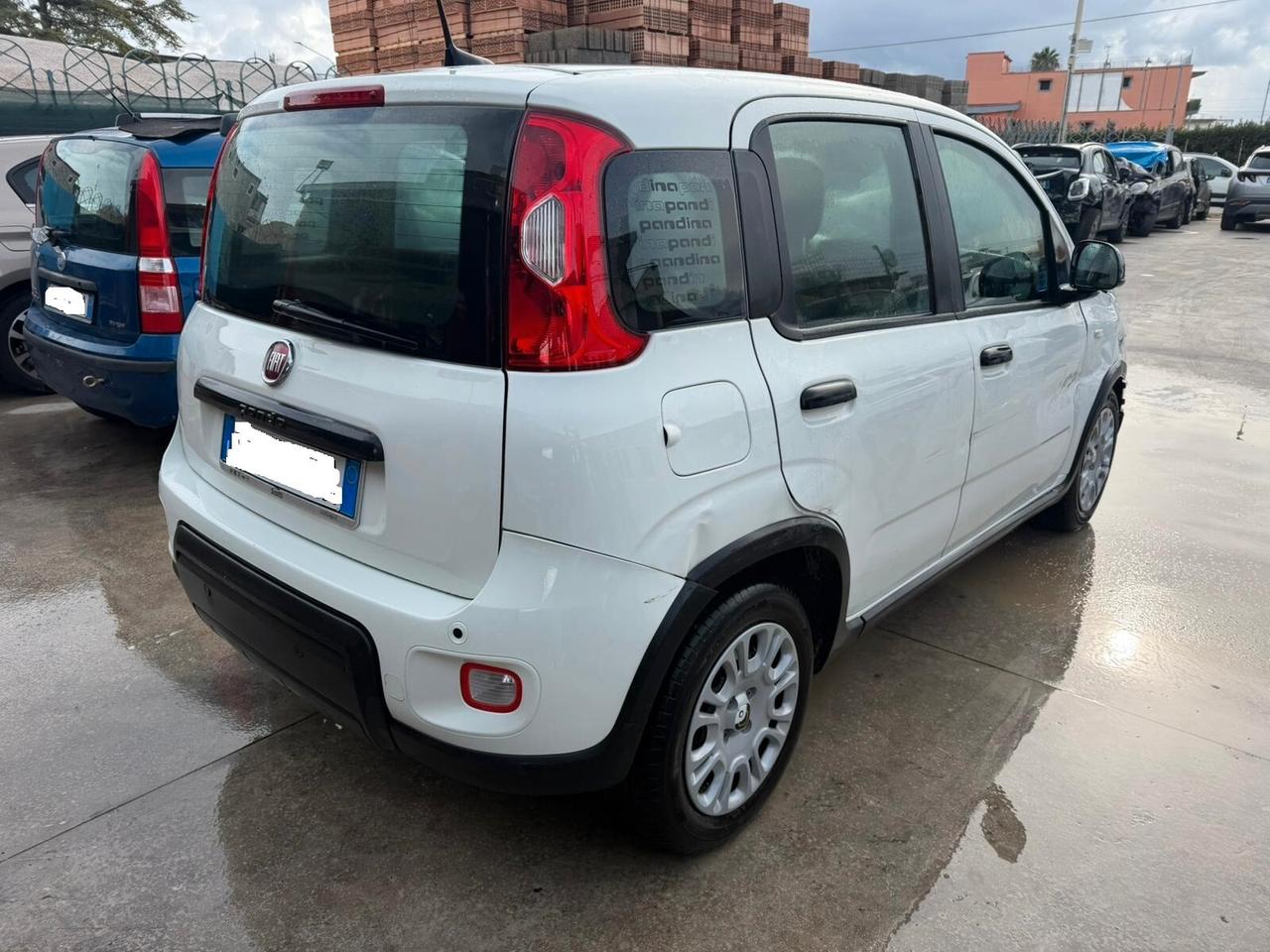 Fiat Panda 1.0 Pandina - 2024