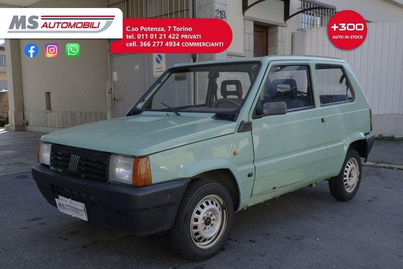 FIAT Panda 900 i.e. cat Young