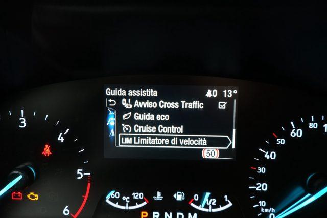 FORD Focus 1.5 EcoBlue 120 CV automatico 5p. ST-Line Co-Pilot