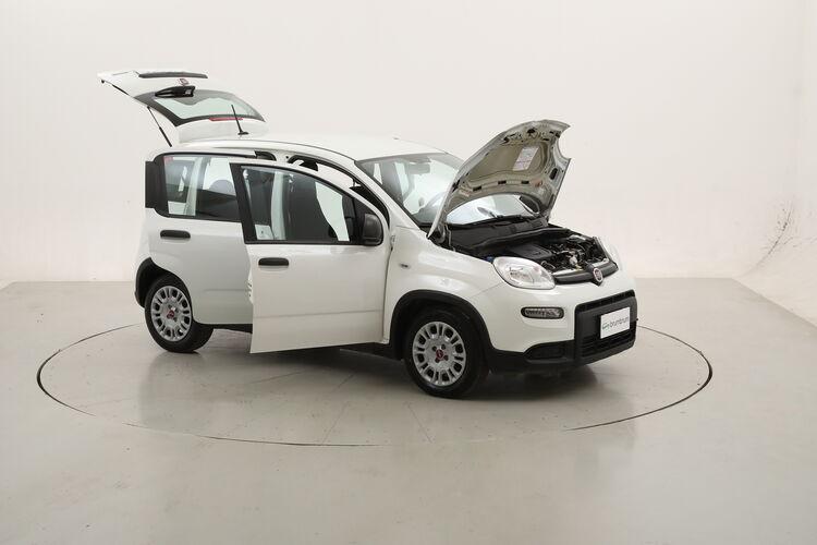Fiat Panda Hybrid BR751276 1.0 Mild Hybrid 70CV