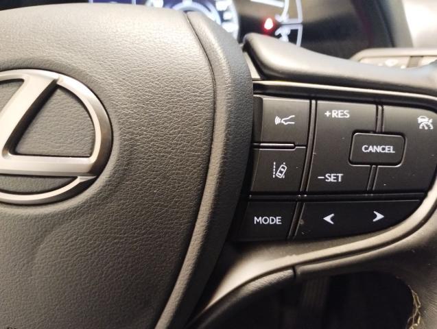 LEXUS UX Hybrid 4WD Premium-PELLE-RETROCAM-FULL OPT