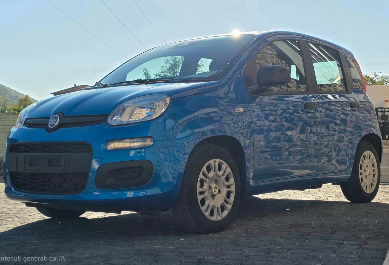 Fiat Panda 1.0 FireFly S&S Hybrid Pandina