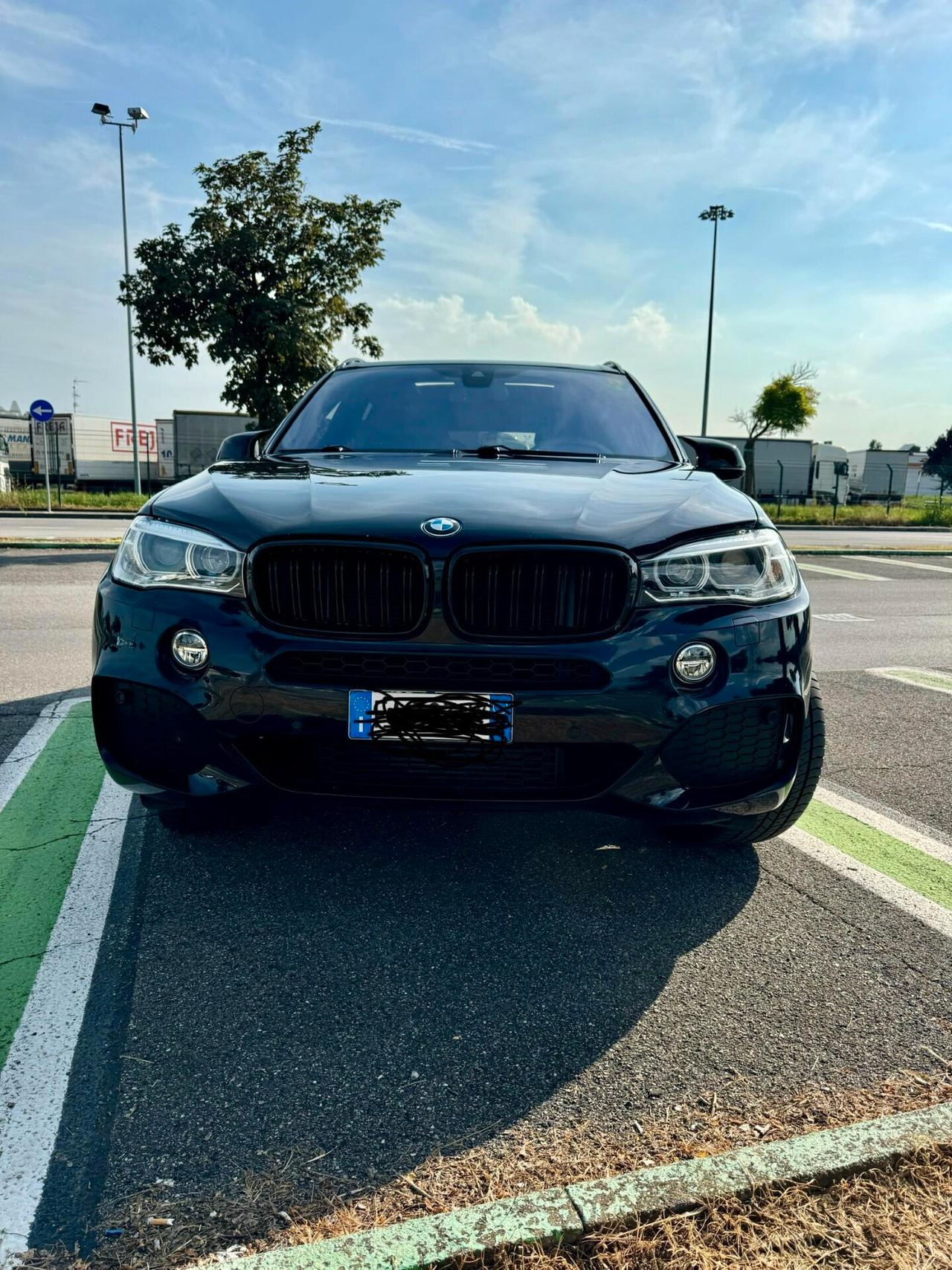 Bmw X5 sDrive25d Business