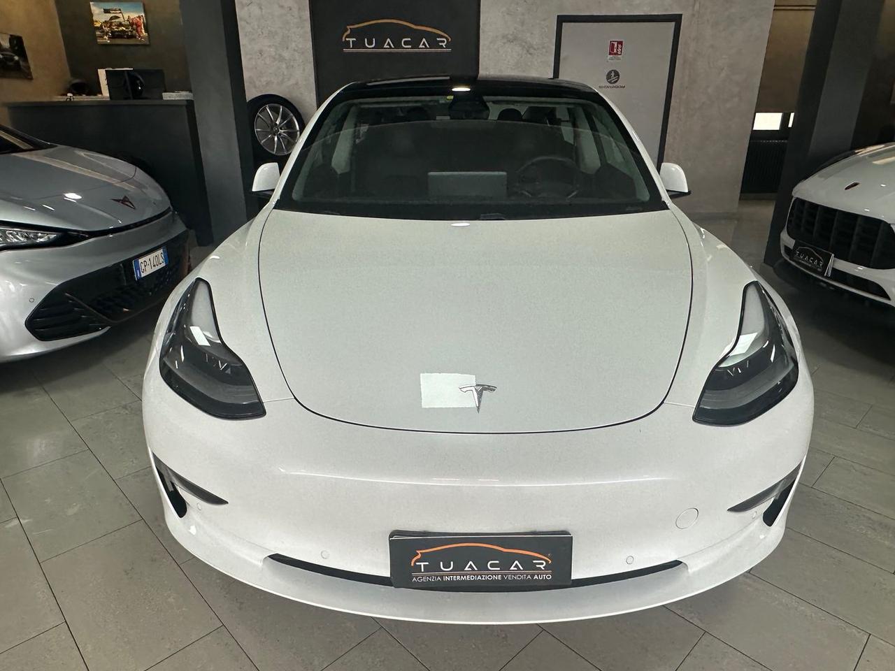 Tesla Model 3 Long Range Dual Motor 75 kWh #9028