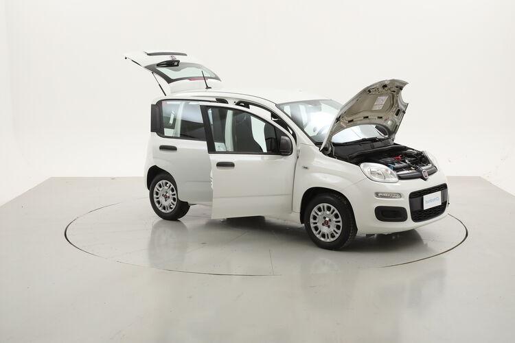 Fiat Panda Easy BR815644 1.2 Benzina 69CV